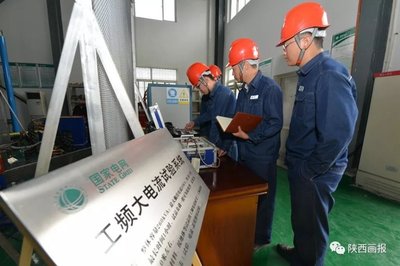 科技引領 為綠色智能電網(wǎng)保駕護航——技術咨詢的核心價值